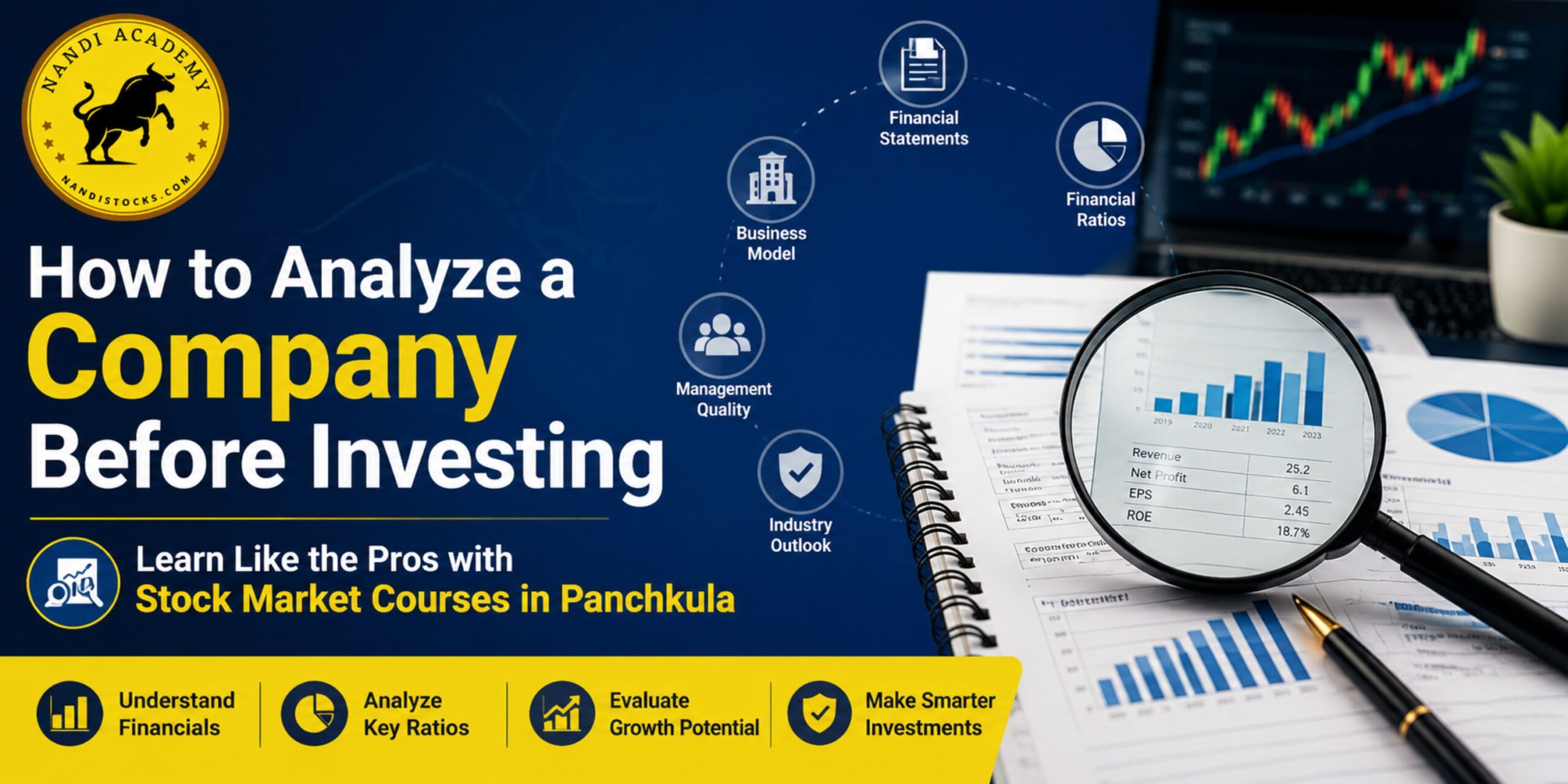 Analyze a Company Before Investing